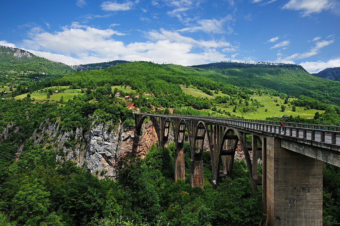 View of Tara Bridge and Tara Valley under clouded sky, Montenegro, Europe