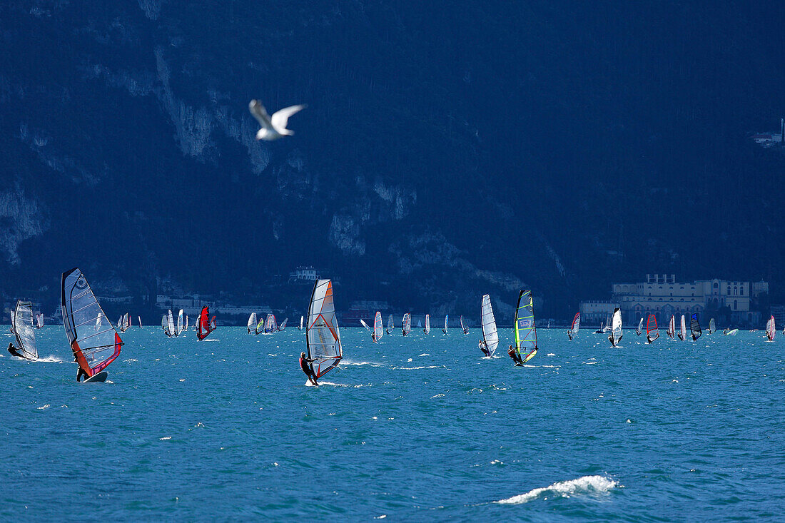 WIndsurfer bei Torbole, Gardasee, Trentino, Italien