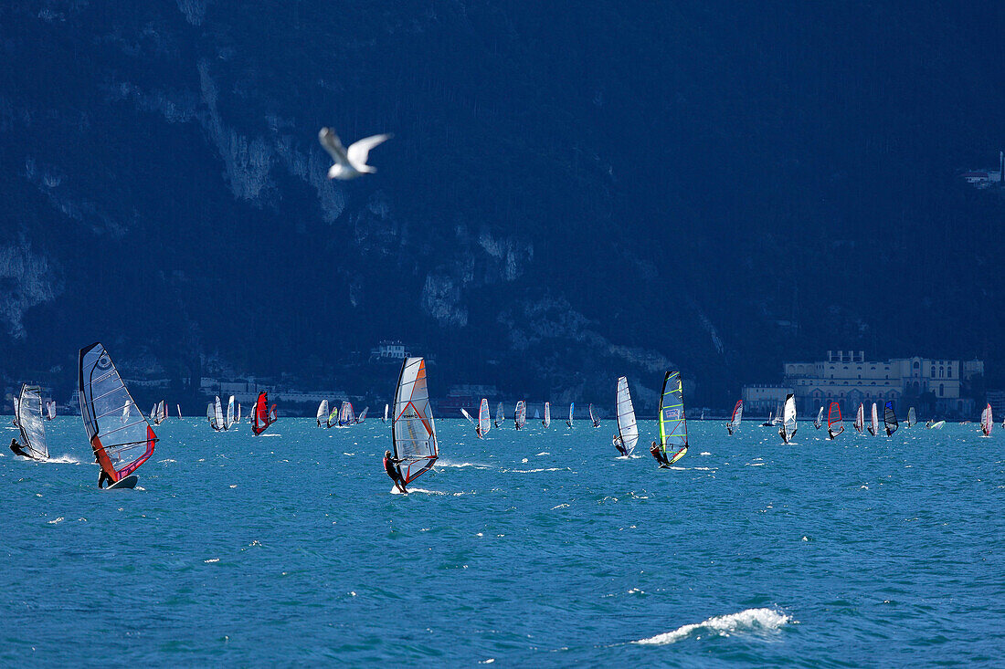 Windsurfer nearby Torbole, Lake Garda, Trento, Italy