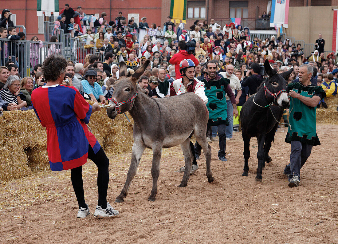 Donkey race, Palio, Alba, Langhe, Piedmont, Italy