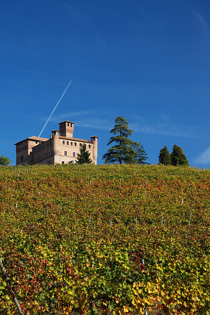 Castello Grinzane Cavour, Langhe, Piemont, Italien