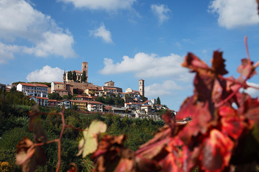 Cisterna d' Asti, Monferrato, Piedmont, Italy