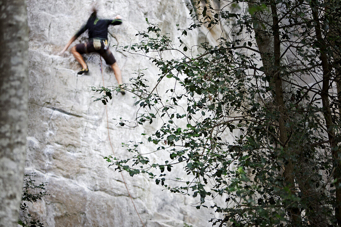 Man climbing at rock face, Schilthorn, Bernese Oberland, Canton of Bern, Switzerland