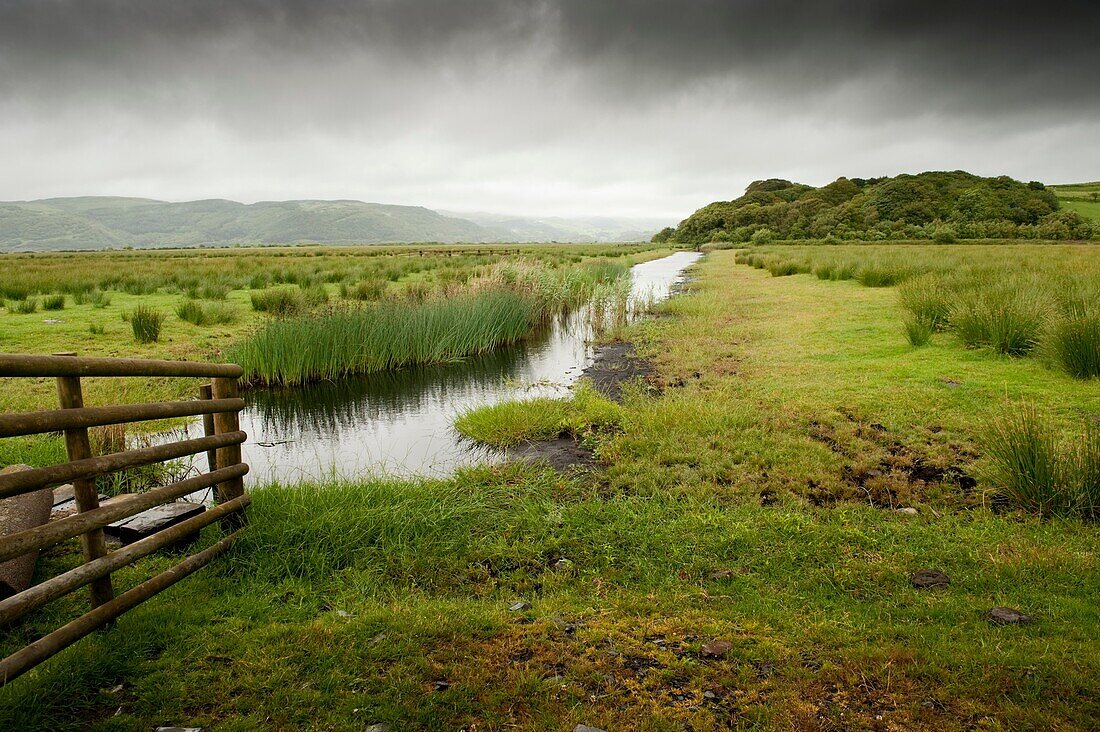 managed wetlands at the Ynyshir RSPB royal society for protection of birds, nature reserve in the Dyfi estuary biosphere, Ceredigion Wales UK