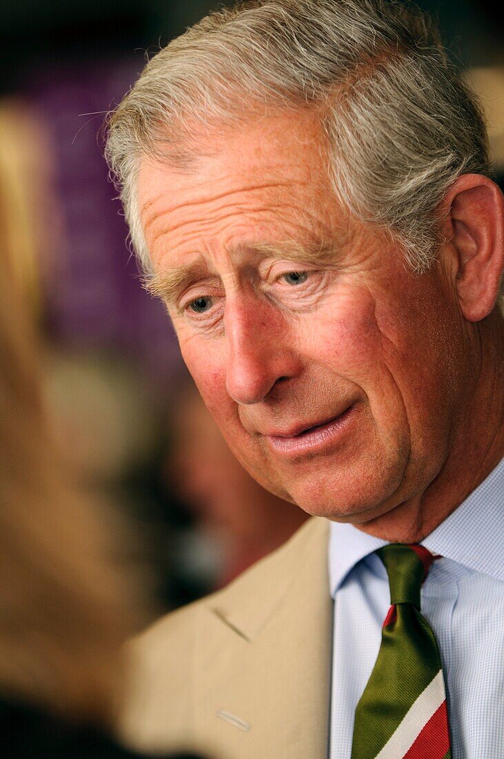 The Prince of Wales visiting the Welsh Woolen Museum, Drefach Felindre, Carmarthenshire, June 28 2010