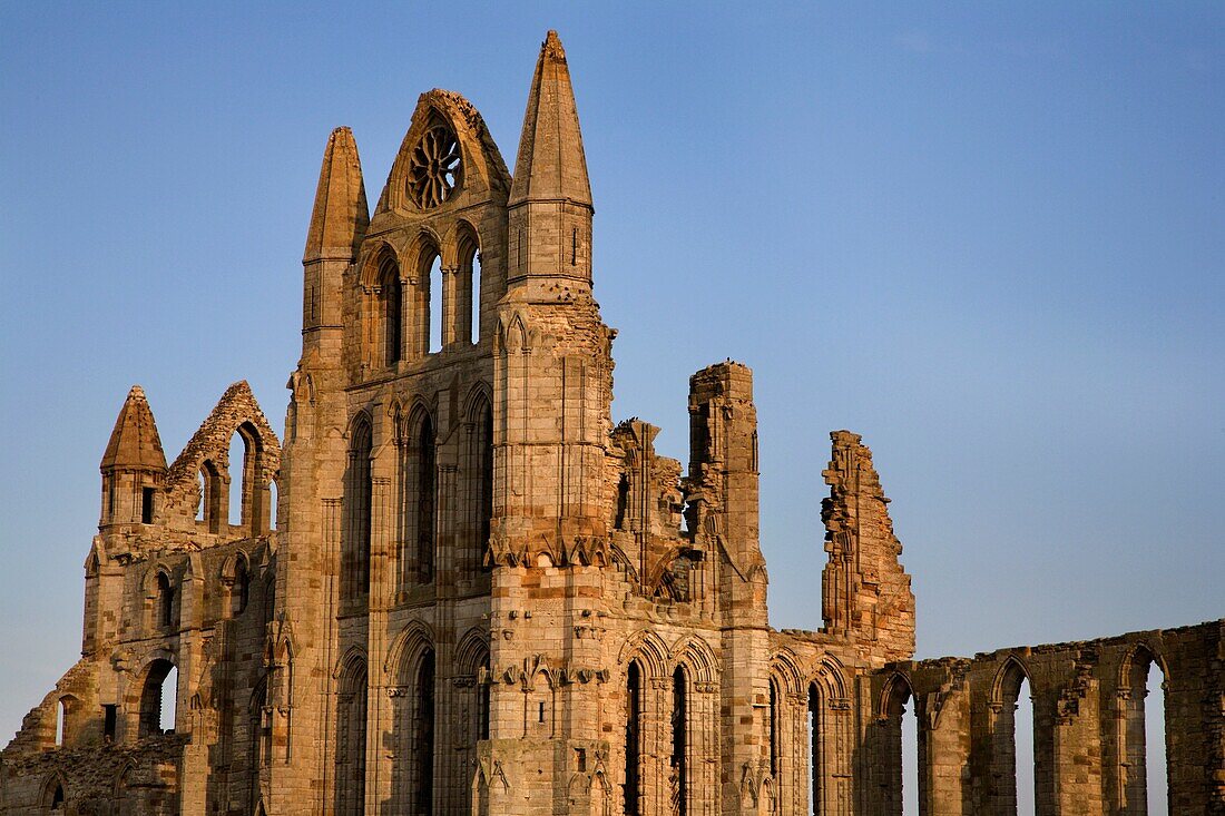 Whitby Abbey Bathed In Soft Summer Evening Light Whitby North Yorkshire England