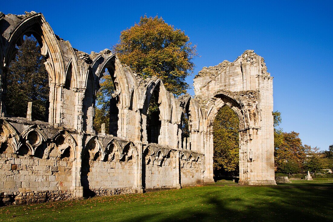 St Marys Abbey Ruin in Museum Gardens York Yorkshire England