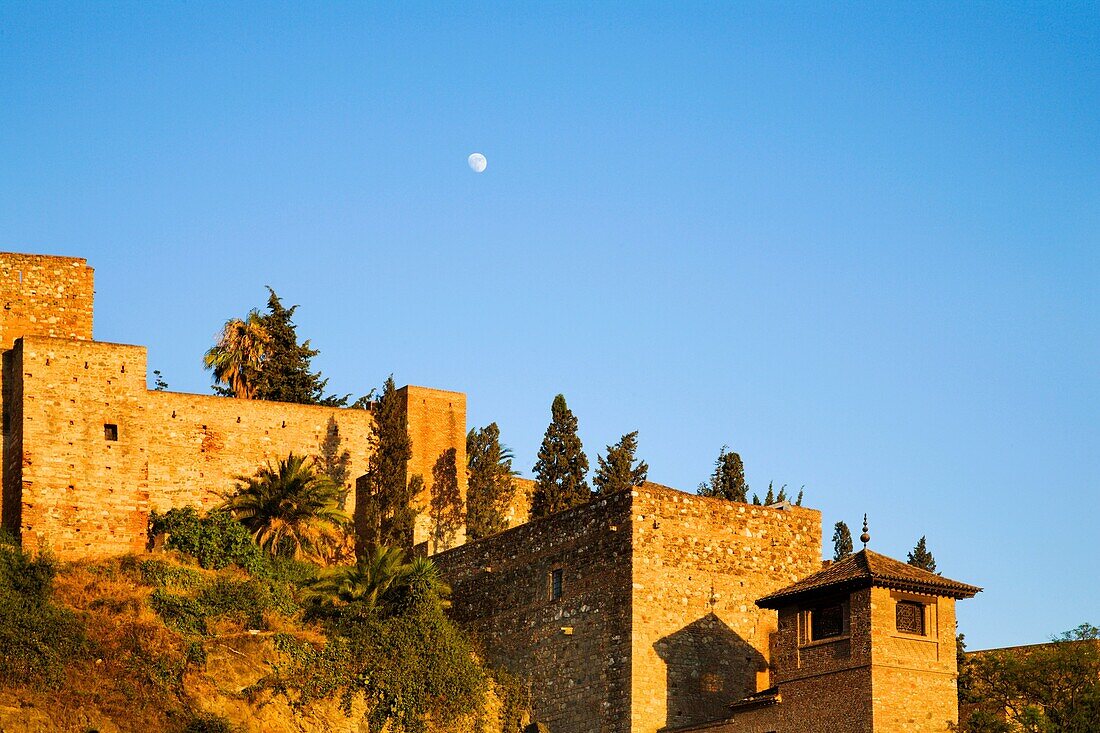 The Alcazaba Malaga Spain