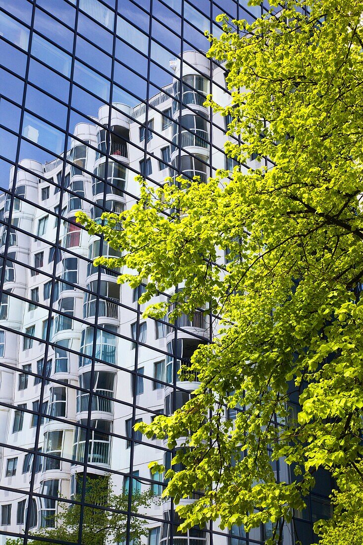 Modern Architecture Reflections Rotterdam The Netherlands