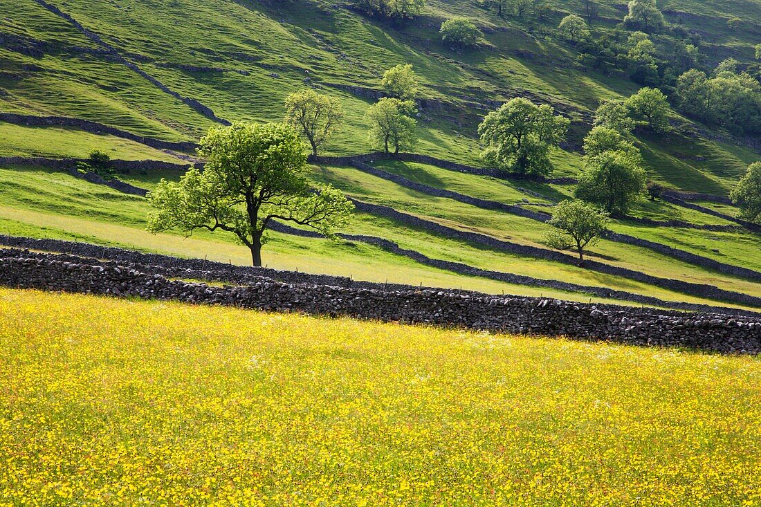 Upper Wharfedale in Summer Yorkshire Dales England