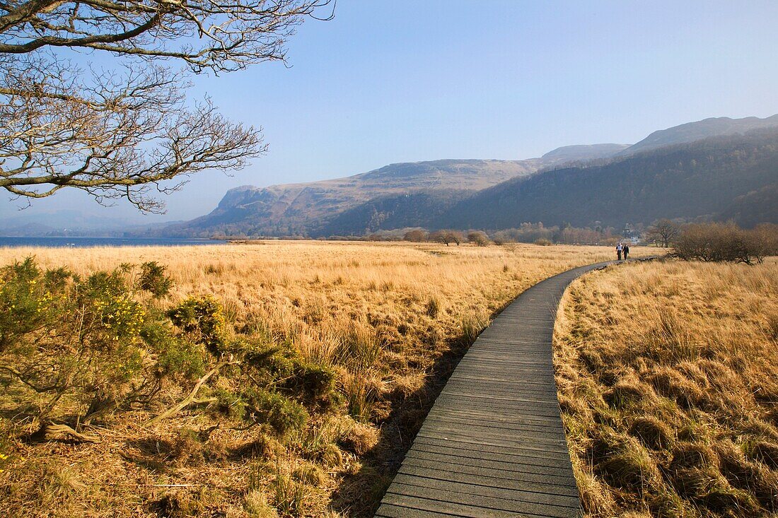 Couple walking on duckboard path across Borrowdale Valley Cumbria England