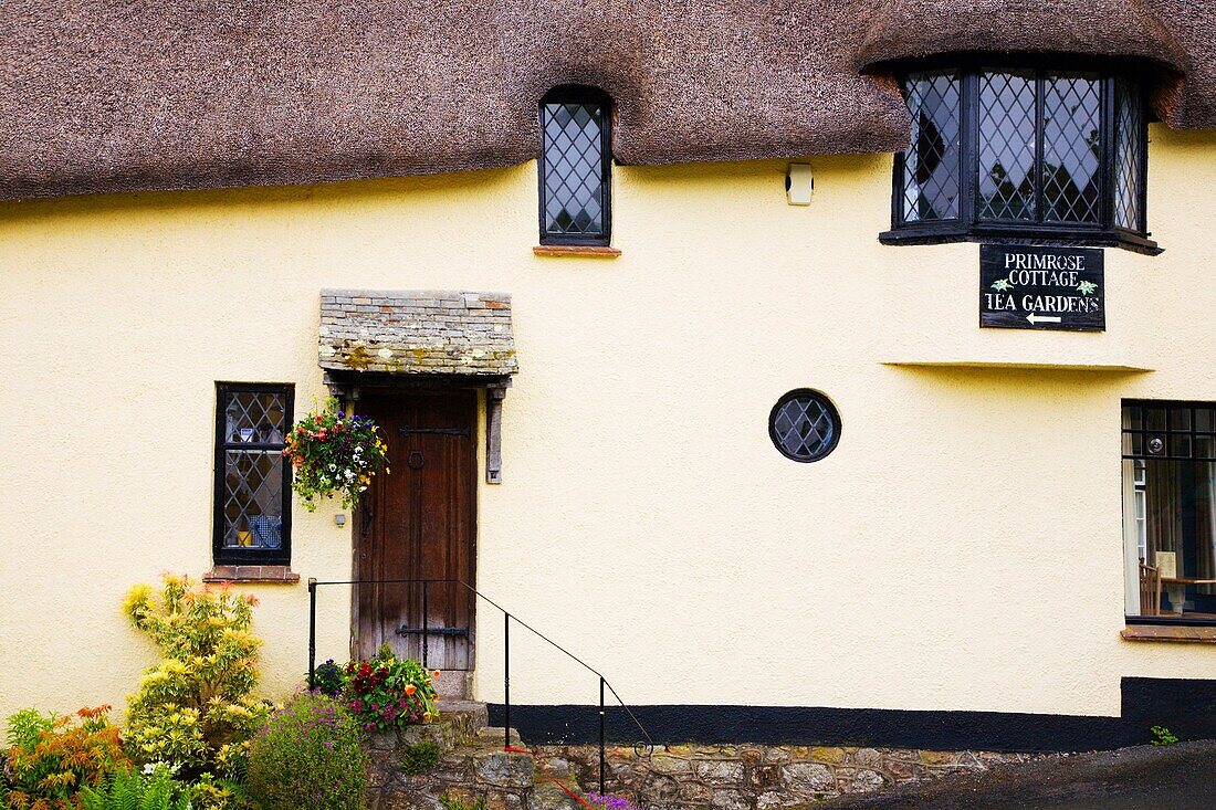 Primrose Cottage Tea Rooms Lustleigh Devon England