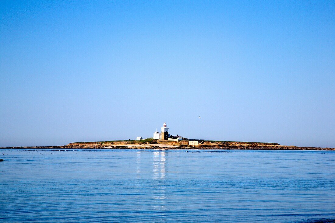 Coquet Island from Hauxley Beach Low Hauxley Amble Northumberlan