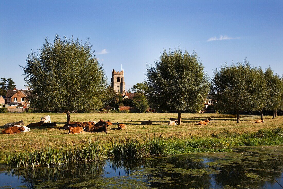 Water Meadows and All Saints Church Sudbury Suffolk England