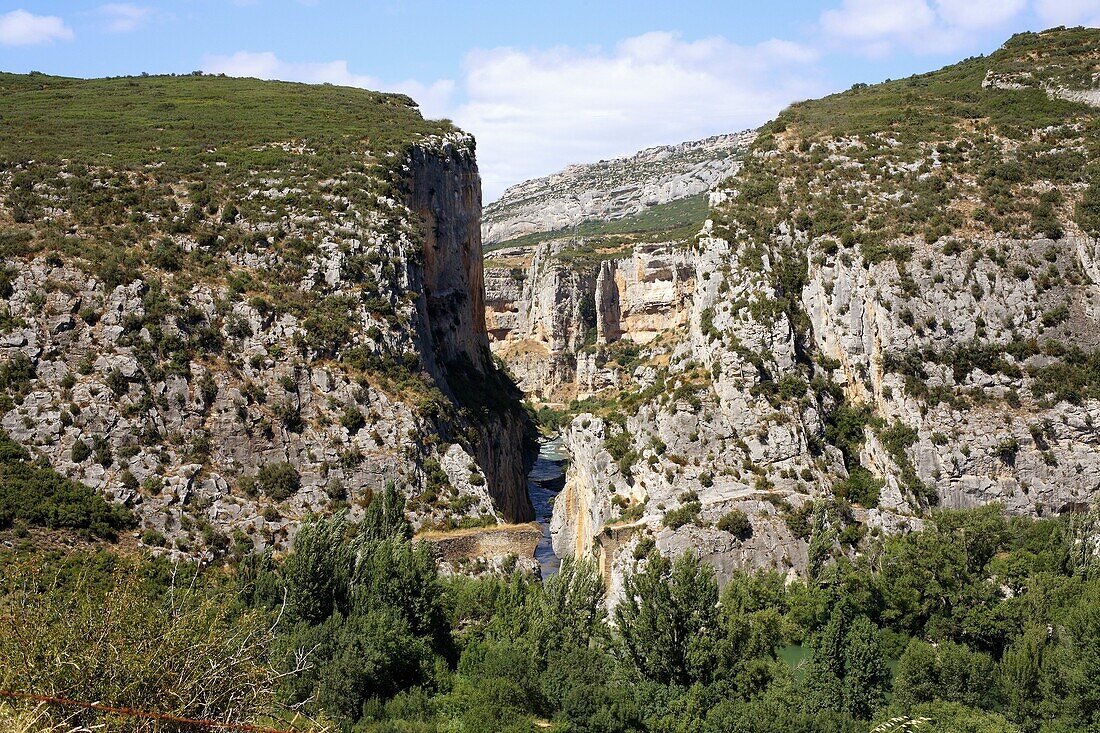 Foz de Lumbier canyon, Irati river, Navarre, Spain