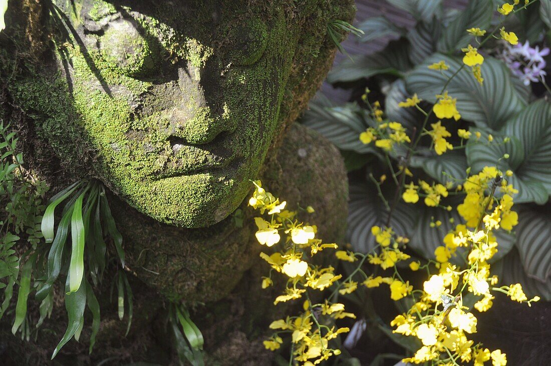 Singapore: statue in the greenhouse of the National Orchid Garden