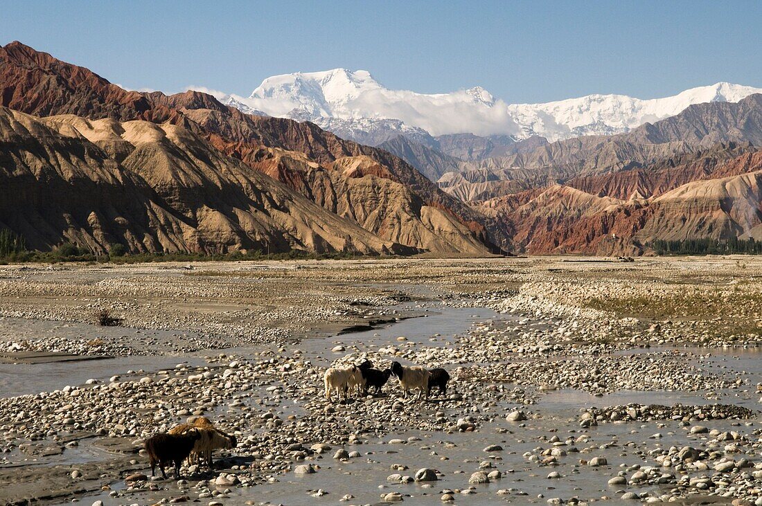 China's wild west.