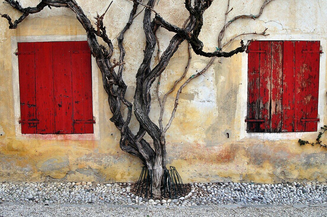 Italy, Veneto, Maser, Villa Barbaro designed by Andrea Palladio, Detail