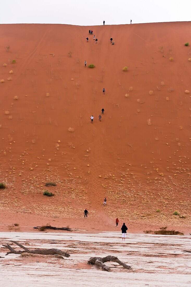 People running down a dune in the Dead Vlei, Namibia, Africa