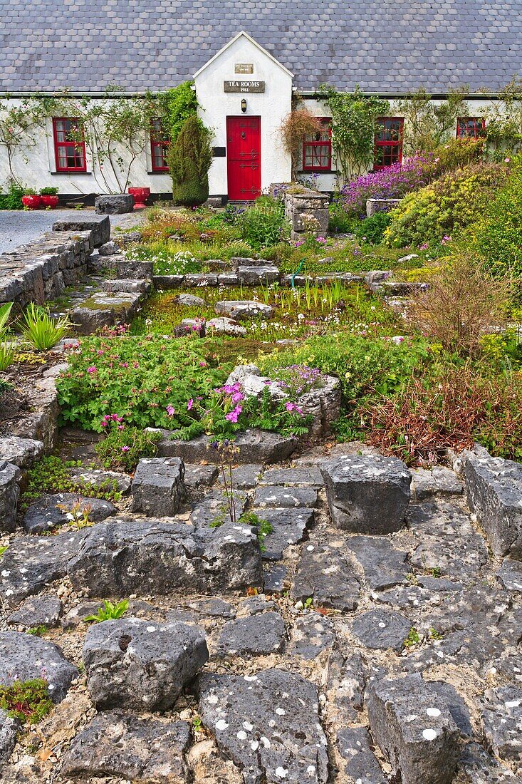 A picturesque cottage in the village of Ballyvaughan, County Clare, Ireland, Europe