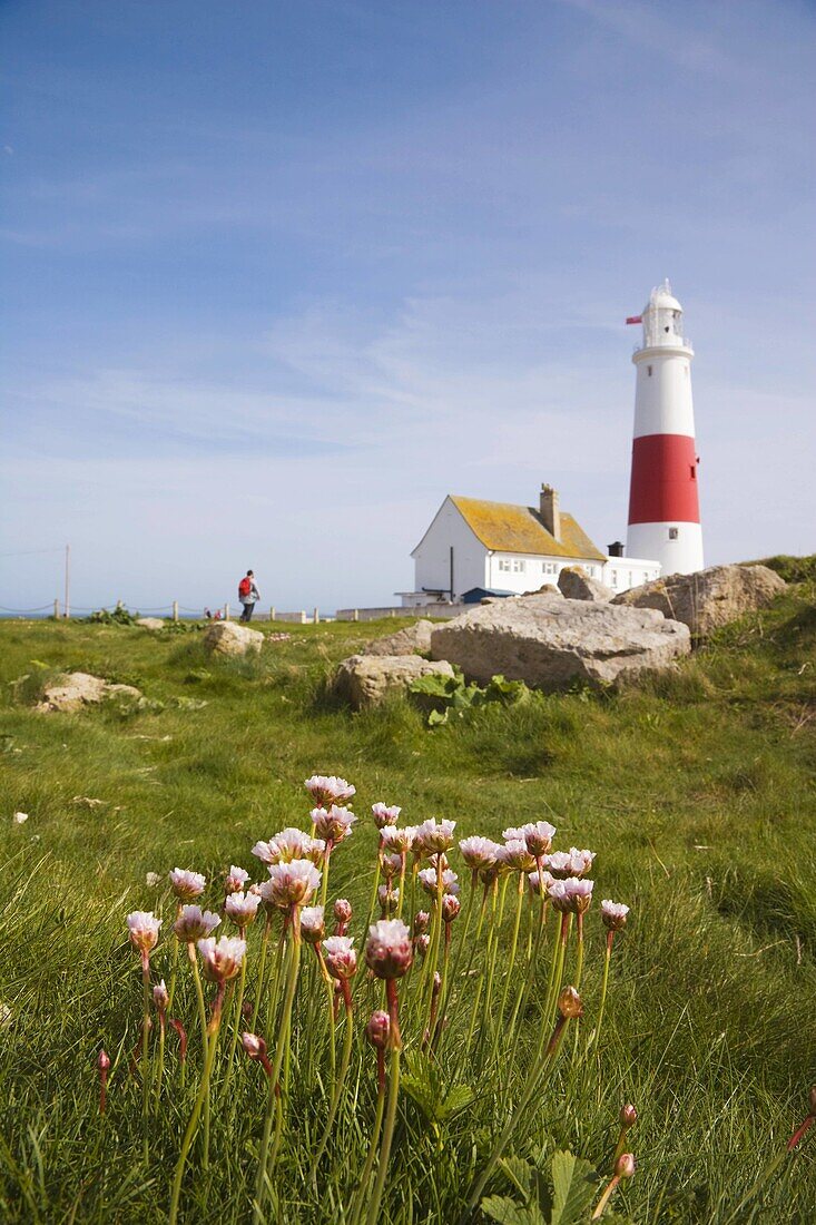 Portland Bill Lighthouse. Isle of Portland. Dorset. England. UK.