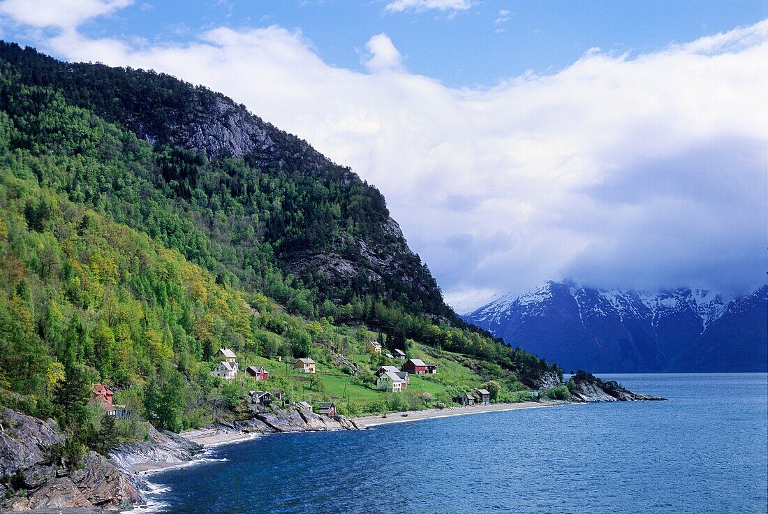 Norway, Hardangerfjord