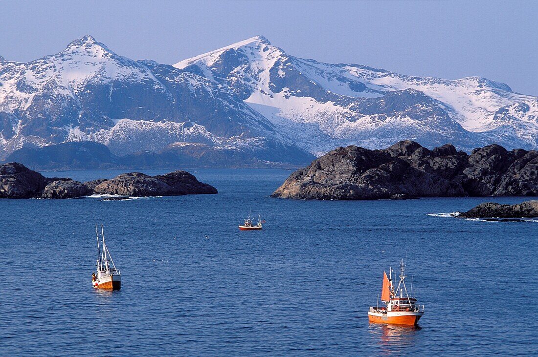 Norway, Nordland, Lofoten Islands, Fishing Boats