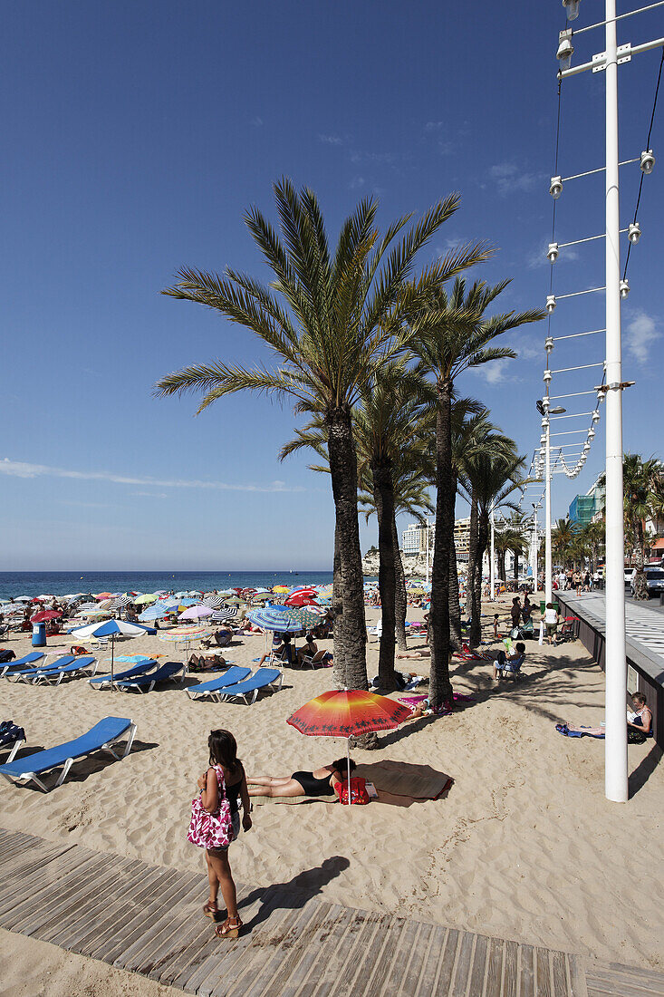 Strandleben, Costa Blanca, Benidorm, Provinz Alicante, Spanien
