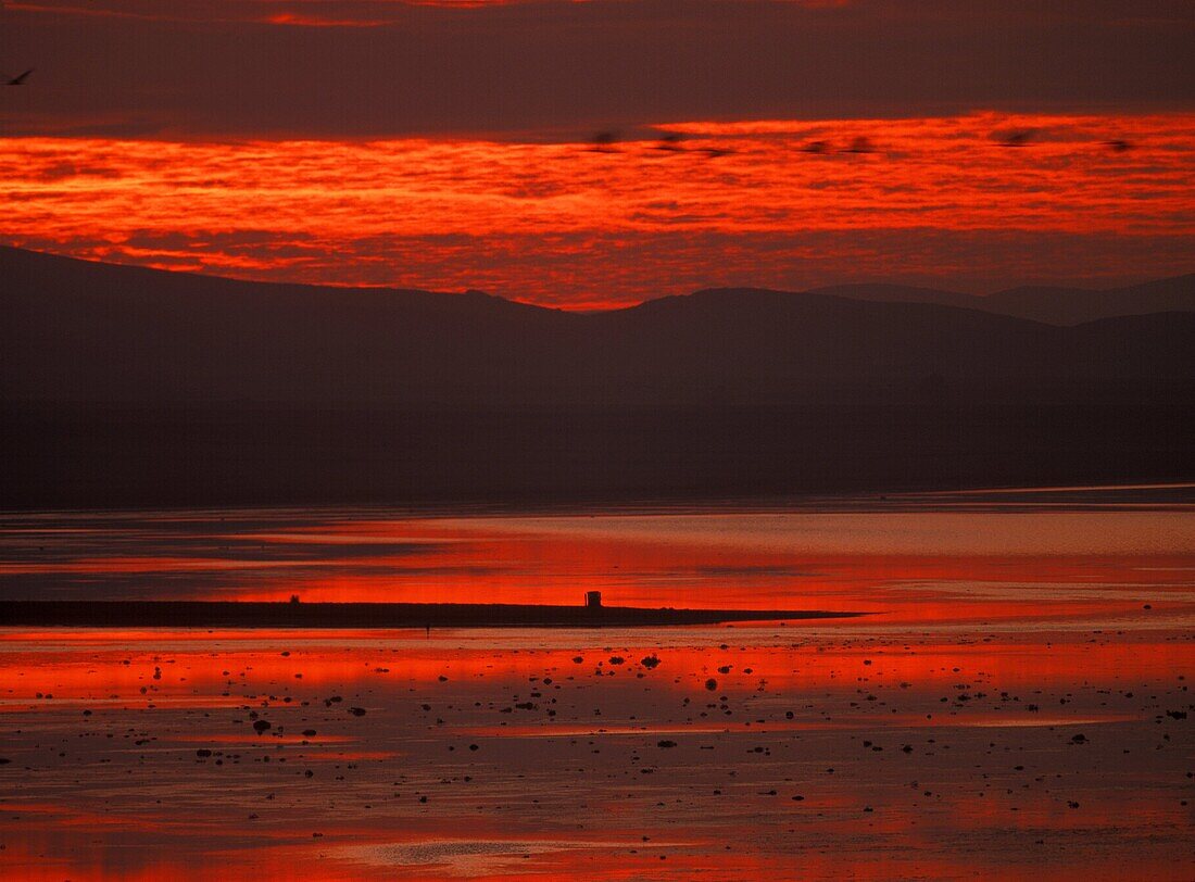 Gallocanta Lagoon Teruel Aragon Spain