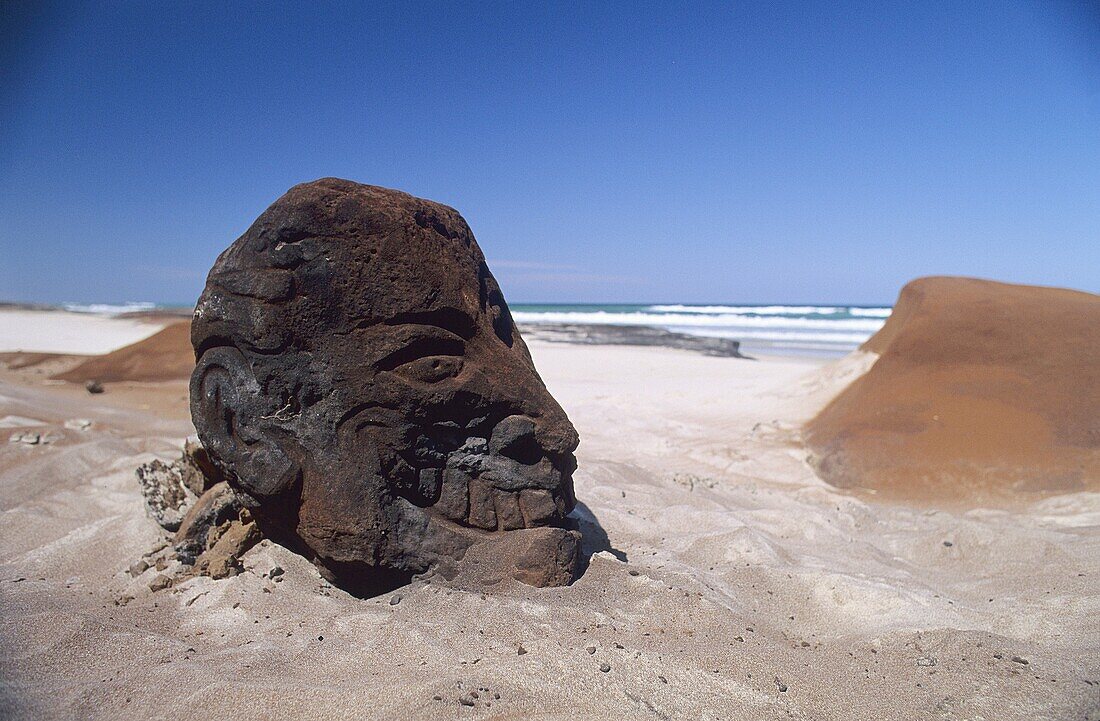 Bundjalung National Park New South Wales Australia