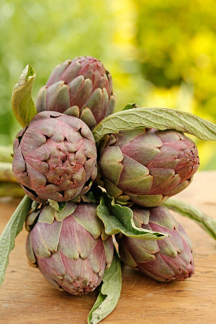 Artichokes