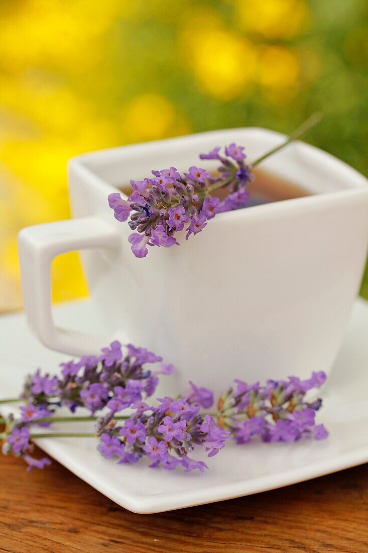 Lavender infusion