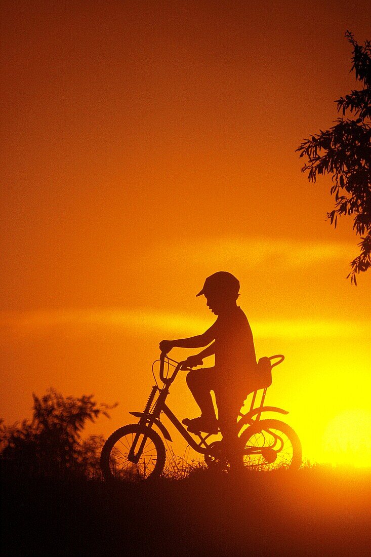 Little boy and sunset