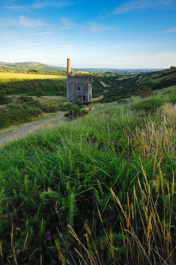 Wheal Betsy engine house on Dartmoor, Devon at Mary Tavey near Tavistock, Devon, England, United Kingdom