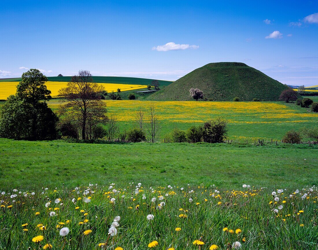 The ancient man made Neolithic chalk mound of Silbury Hill surrounded by fields of dandelions and rapeseed near Avebury, Wiltshire, England, United Kingdom