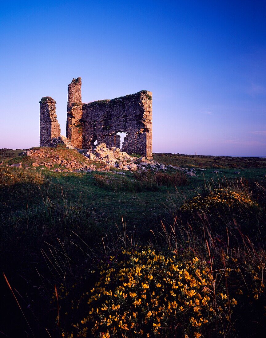 An old engine house ruin at the New Phoenix Mine, also known as the Silver Valley Mine, on Bodmin Moor, Minions, Cornwall, England, United Kingdom