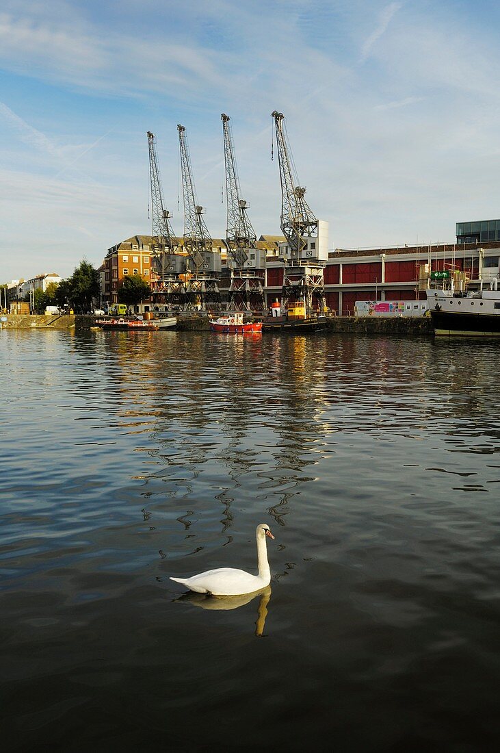 Cranes on Princes Wharf at the Floating Harbour, Bristol, England, United Kingdom
