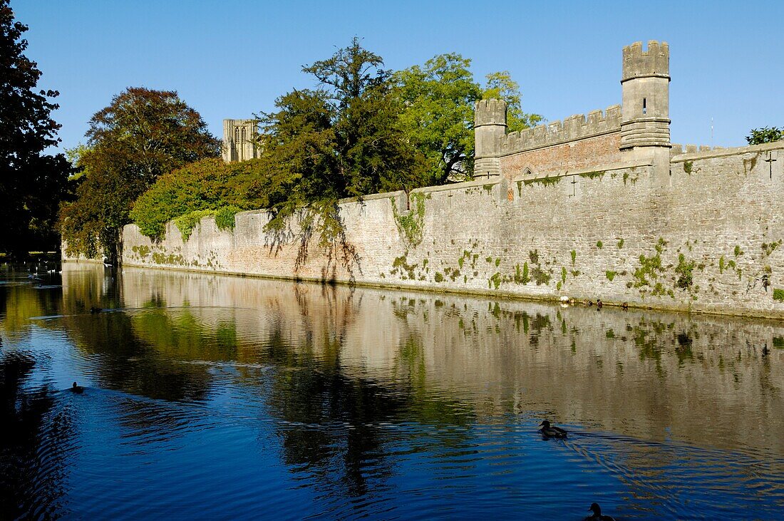 The moat and wall around the Bishop's Palace and garden adjacent to the Cathedral, Wells, Somerset, England, United Kingdom