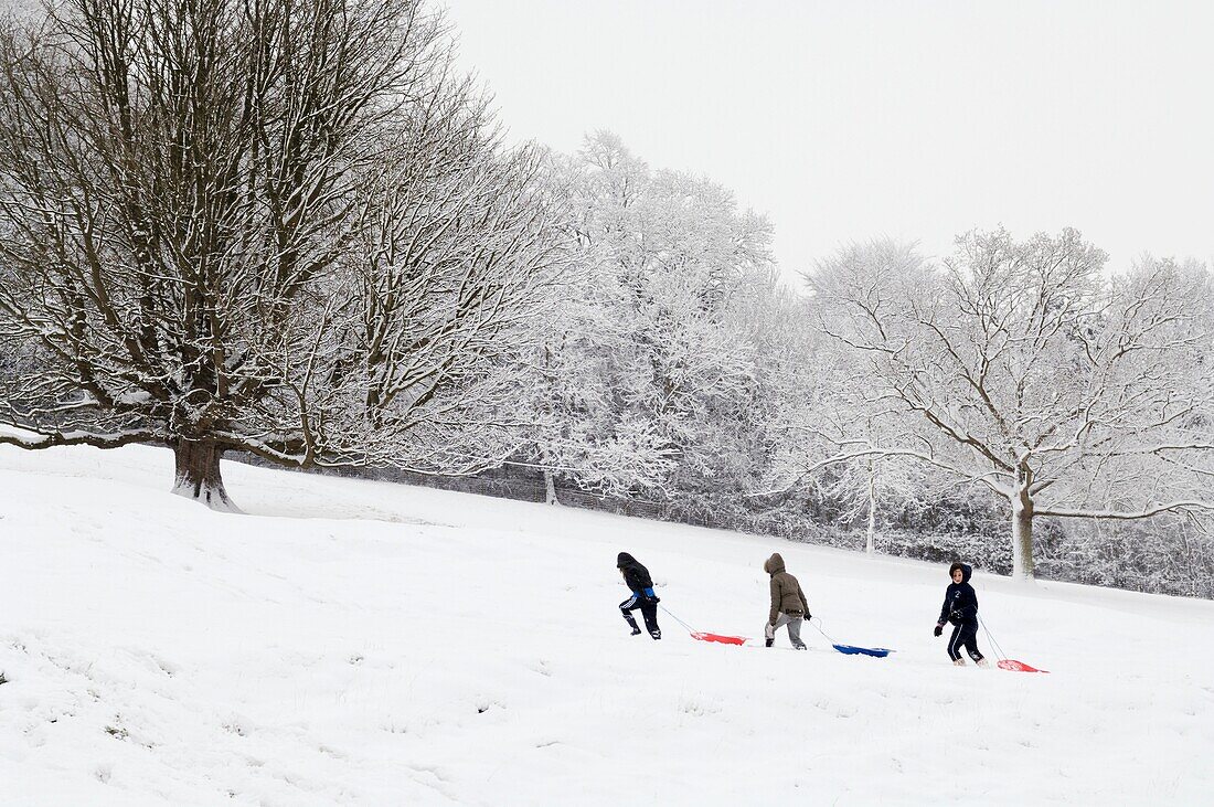 Children sledging on a snow covered hillside Wrington, Somerset, England, United Kingdom