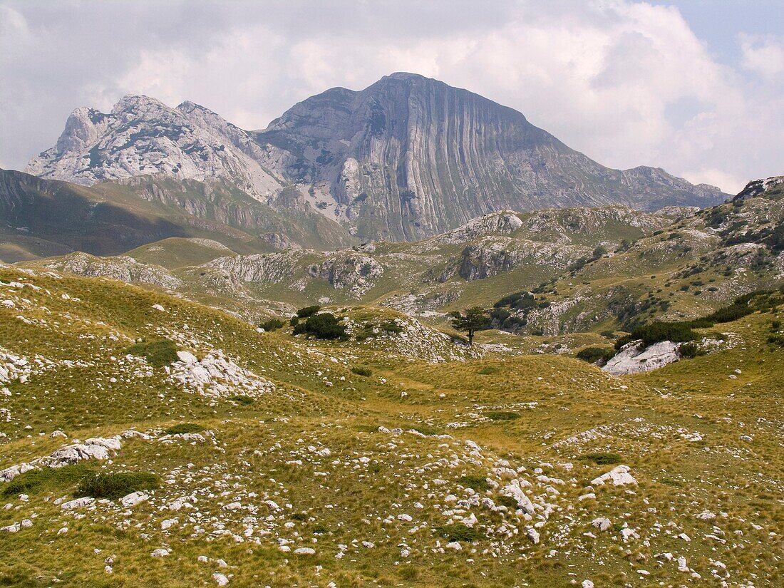 europe, montenegro, durmitor national park