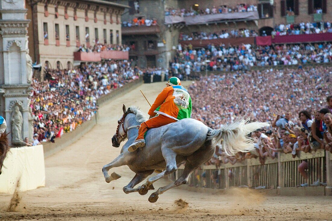 palio of siena, siena, tuscany, italy, europe palio di siena, siena, toscana, italia, europa