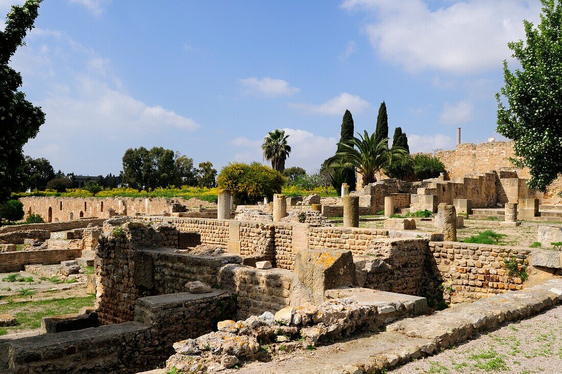 Roman Villas, Carthage, Tunis, Tunisia, North Africa
