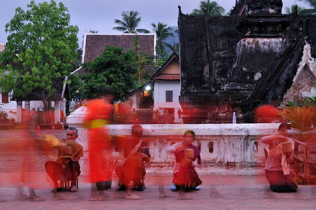 A Procession of Monks collecting alms at dawn, Luang Prabang, Laos
