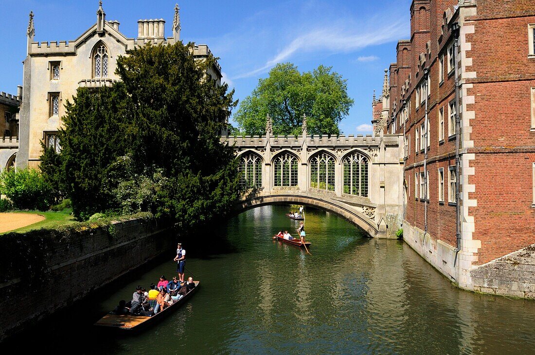 Punting by the Bridge of Sighs, St John's College, cambridge, England, UK
