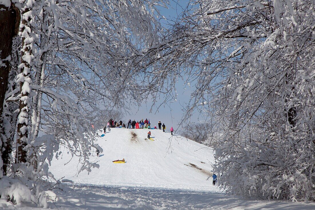 Indianapolis, Indiana - Children on a sledding hill in a city park © Jim West