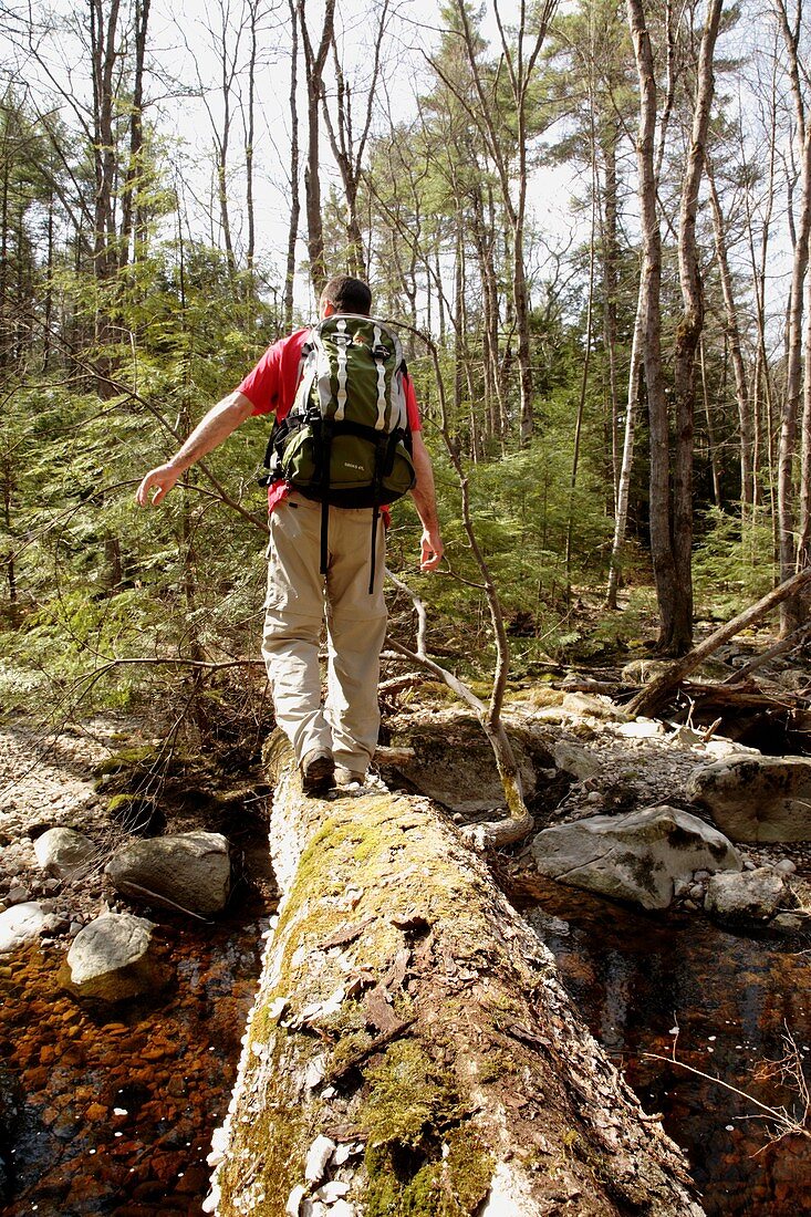 A hiker uses a fallen tree to cross a small brook