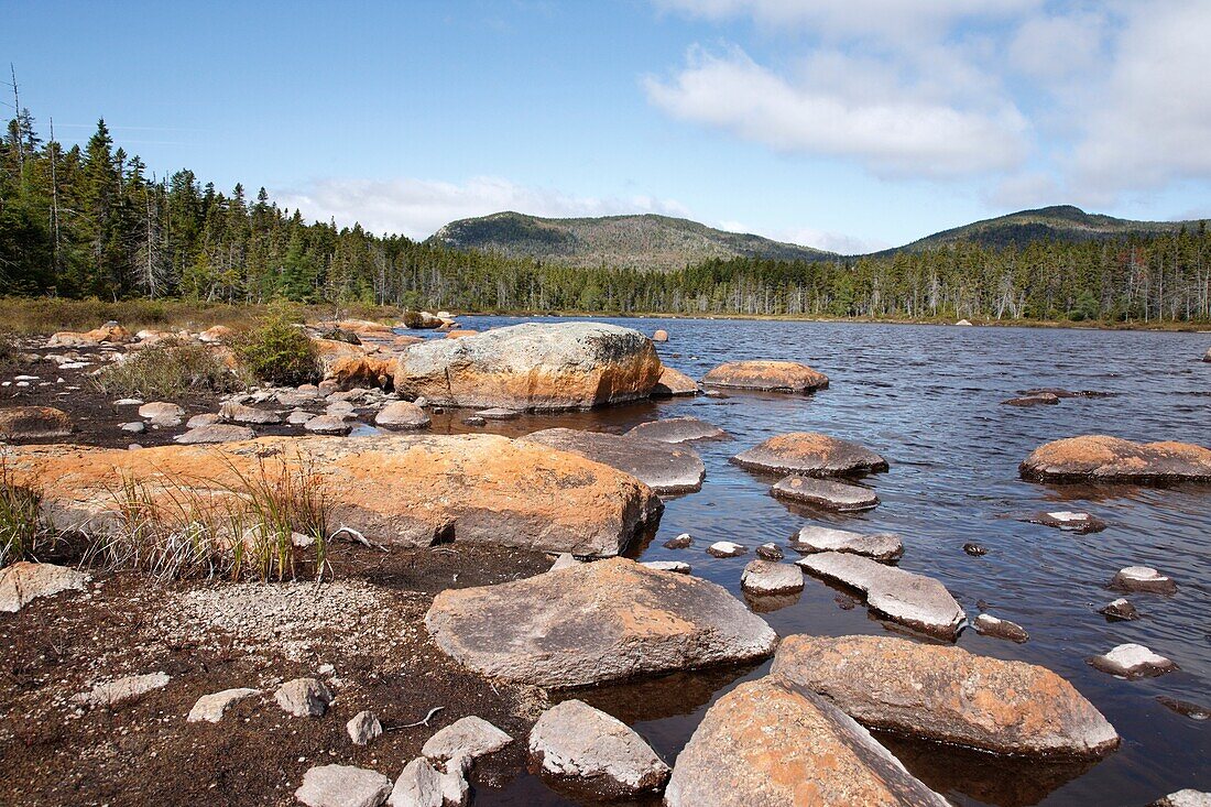 Pemigewasset Wilderness - Shoal Pond during the summer months Located in Lincoln, New Hampshire USA