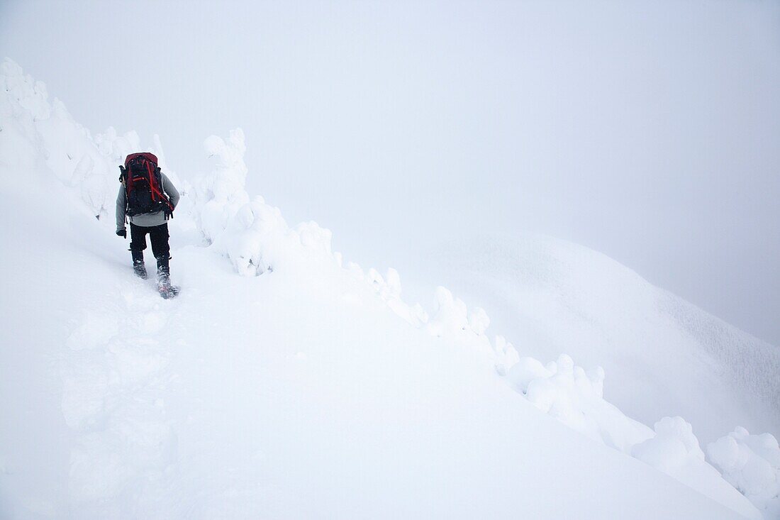 Franconia Notch State Park - Snowshoer following the Rim Trail on the summit of Cannon Mountain in whiteout conditions during the winter months in the White Mountains, New Hampshire USA