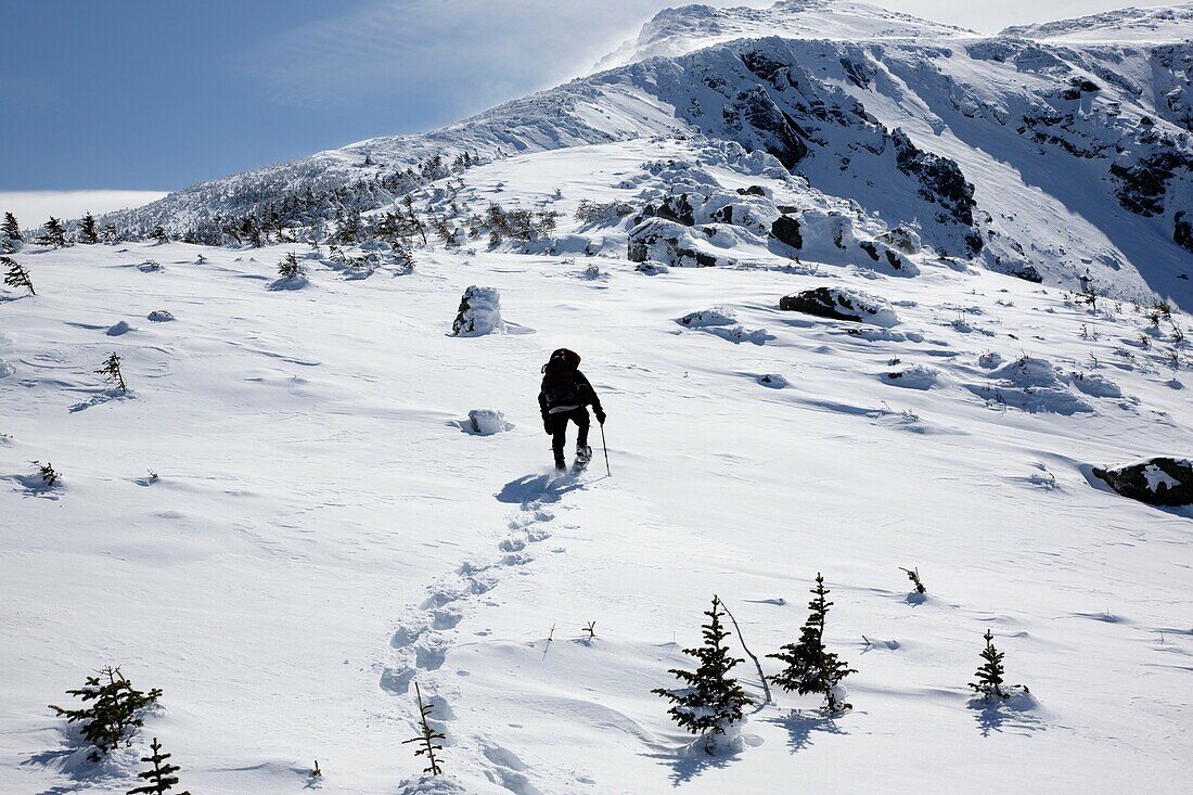 A winter hiker makes his way up the Air Line Trail in extreme weather conditions during the winter months in the White Mountains, New Hampshire USA