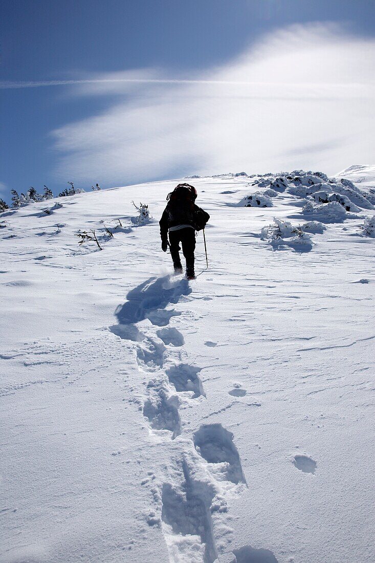 A winter hiker ascends the Air Line Trail in extreme weather conditions during the winter months in the White Mountains, New Hampshire USA